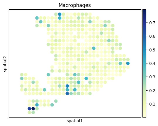 ../_images/Spatial_spot_deconvolution_Application_with_new_data_35_7.png