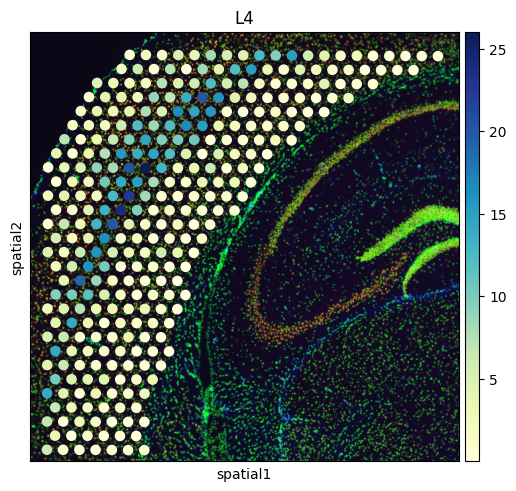 ../_images/Spatial_spot_deconvolution_Reproducibility_with_original_data_33_3.png