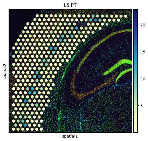 ../_images/Spatial_spot_deconvolution_Reproducibility_with_original_data_33_5.png