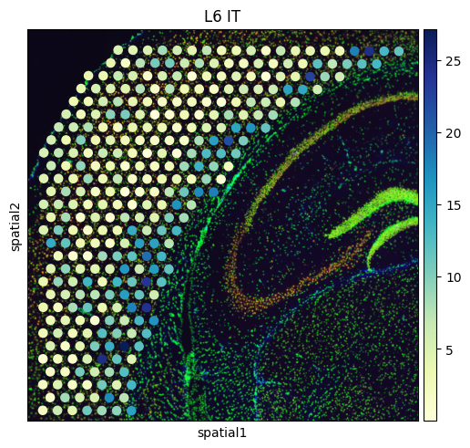 ../_images/Spatial_spot_deconvolution_Reproducibility_with_original_data_33_7.png