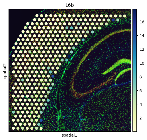 ../_images/Spatial_spot_deconvolution_Reproducibility_with_original_data_33_8.png